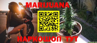 Альфа ПВП Краснознаменск
