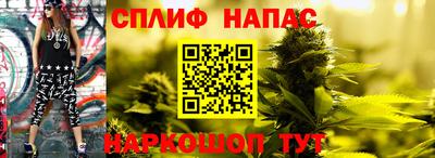 Альфа ПВП Краснознаменск