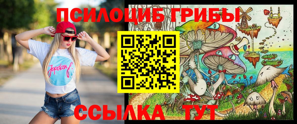 Галлюциногенные грибы Psilocybine cubensis Коломна